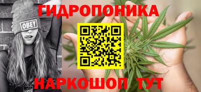 СК Шелехов