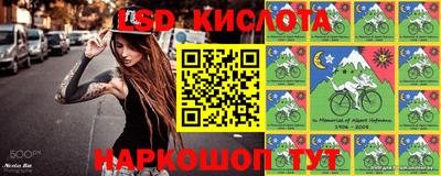 спиды Шахты