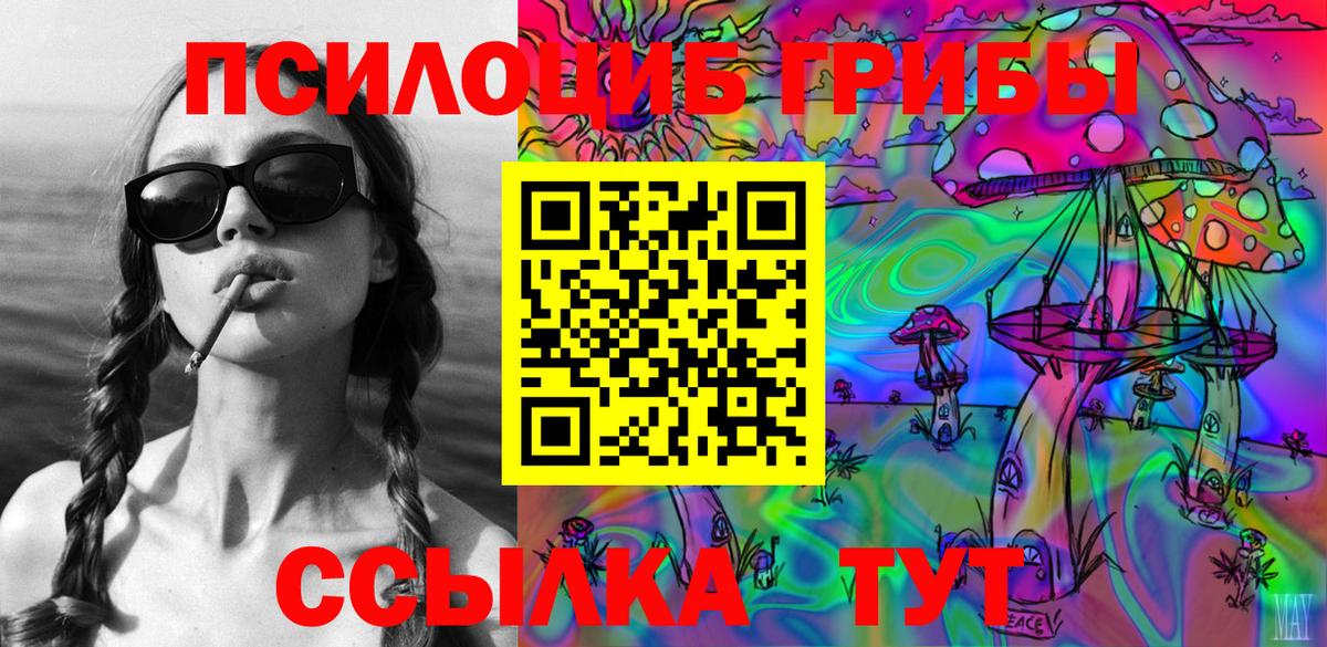 Большой Камень  Псилоцибиновые грибы мицелий  Псилоцибиновые грибы прущие грибы  Вход с VPN 