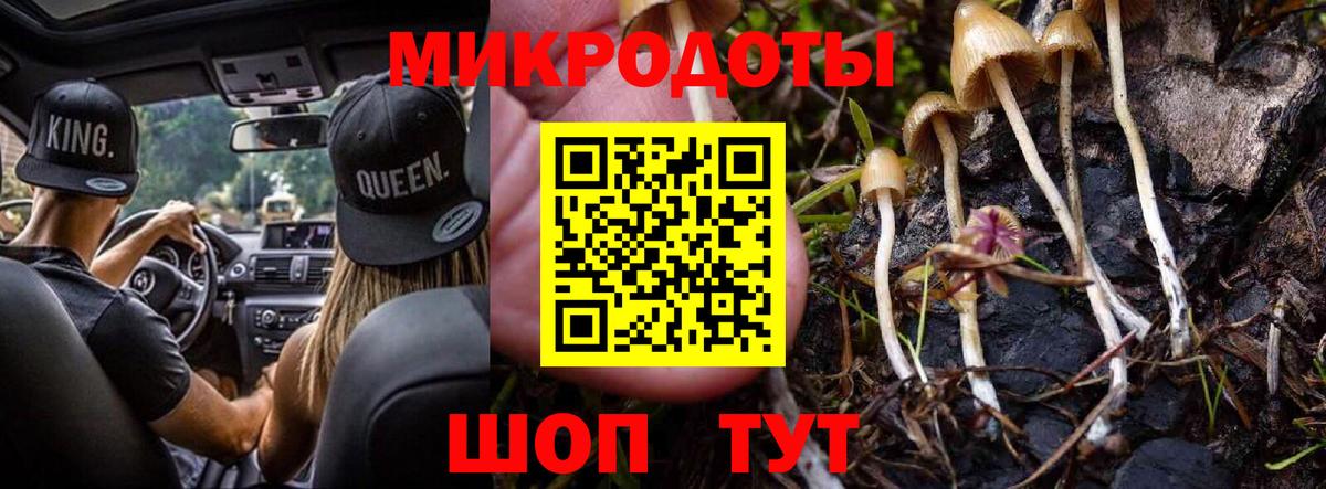 Псилоцибиновые грибы Cubensis Большой Камень